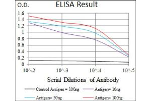 Red: Control Antigen (100ng) ; Purple: Antigen (10ng) ; Green: Antigen (50ng) ; Blue: Antigen (100ng).