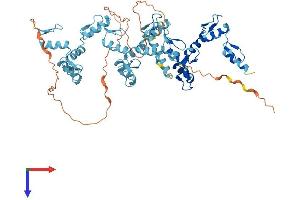 AlphaFold protein structure predicition of Human Recombinant ZNF250 Protein, UniprotID P15622