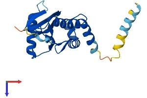 AlphaFold protein structure predicition of Human Recombinant COPZ1 Protein, UniprotID P61923