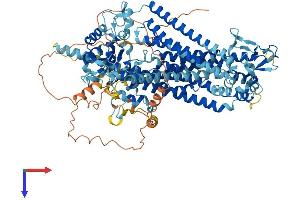AlphaFold protein structure predicition of Human Recombinant ANO3 Protein, UniprotID Q9BYT9
