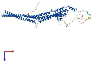 AlphaFold protein structure predicition of Human Recombinant PACSIN3 Protein, UniprotID Q9UKS6