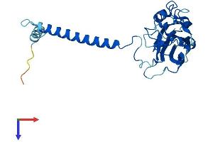 AlphaFold protein structure predicition of Mouse Recombinant Atp1b3 Protein, UniprotID P97370