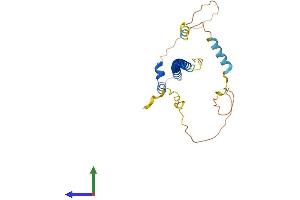 AlphaFold protein structure predicition of Mouse Recombinant Nrl Protein, UniprotID P54846