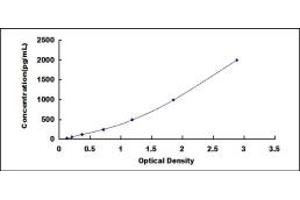 Typical standard curve (BMP4 Kit ELISA)