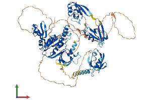 AlphaFold protein structure predicition of Human Recombinant DLG2 Protein, UniprotID Q15700