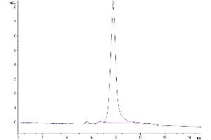Secreted phosphoprotein 1 (SPP1) (AA 17-294) protein (His tag)