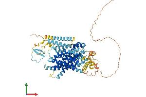 AlphaFold protein structure predicition of Mouse Recombinant Slc9a9 Protein, UniprotID Q8BZ00