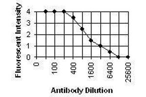 ELISA image for anti-Cytomegalovirus p65 (CMV p65) antibody (ABIN265537) (CMV p65 anticorps)