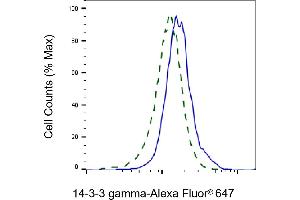 Validation of 14-3-3 gamma knockdown using flow cytometry. (Recombinant 14-3-3 gamma anticorps)