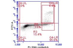 Flow Cytometry (FACS) image for anti-Histone H3 (H3) (pSer10) antibody (ABIN7449558)