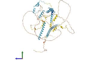 AlphaFold protein structure predicition of Mouse Recombinant Clasrp Protein, UniprotID Q8CFC7