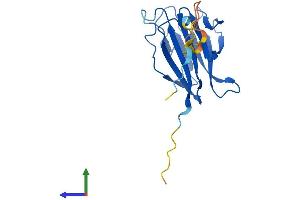 AlphaFold protein structure predicition of Human Recombinant TIFA Protein, UniprotID Q96CG3