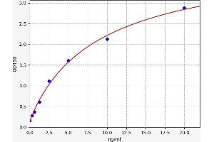 Typical standard curve (Tryptophan Hydroxylase 1 Kit ELISA)