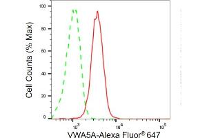 Flow cytometric analysis of VWA5A expression in C2C12 cells using VWA5A antibody (ABIN7800847), 1:2,000).