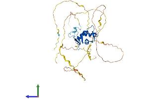 AlphaFold protein structure predicition of Human Recombinant FOXQ1 Protein, UniprotID Q9C009