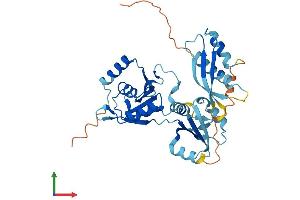 AlphaFold protein structure predicition of Mouse Recombinant Dnd1 Protein, UniprotID Q6VY05