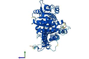 AlphaFold protein structure predicition of Mouse Recombinant Tubg1 Protein, UniprotID P83887