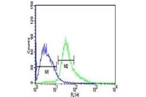 ATF1 antibody flow cytometric analysis of Jurkat cells (right histogram) compared to a negative control (left histogram).