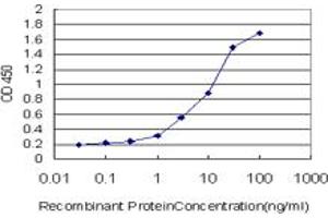 Detection limit for recombinant GST tagged GHRL is approximately 0. (Ghrelin anticorps  (AA 1-117))