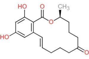 structural formula (Zearalenone anticorps)