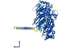 AlphaFold protein structure predicition of Mouse Recombinant Ndst4 Protein, UniprotID Q9EQW8