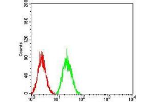 Flow cytometric analysis of Hela cells using VIMP mouse mAb (green) and negative control (red).