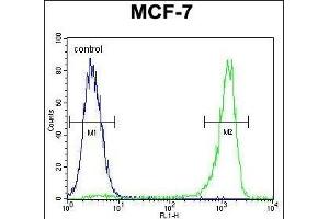 VEGF3 Antibody (N-term) (ABIN655891 and ABIN2845292) flow cytometric analysis of MCF-7 cells (right histogram) compared to a negative control cell (left histogram).