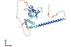 AlphaFold protein structure predicition of Mouse Recombinant Phf11 Protein, UniprotID A6H5X4