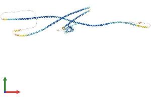 AlphaFold protein structure predicition of Human Recombinant SLMAP Protein, UniprotID Q14BN4