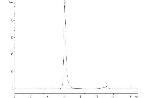 The purity of Biotinylated Human VEGF R2 is greater than 95 % as determined by SEC-HPLC.