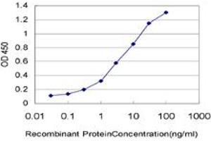 Detection limit for recombinant GST tagged IL8 is approximately 0. (IL-8 anticorps  (AA 21-99))