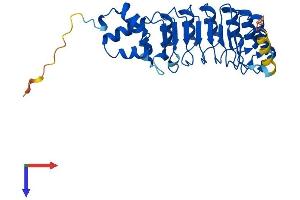 AlphaFold protein structure predicition of Human Recombinant FBXL15 Protein, UniprotID Q9H469