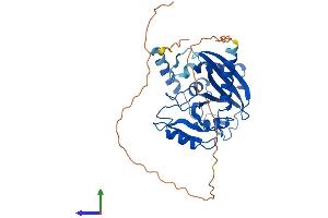 AlphaFold protein structure predicition of Mouse Recombinant Endov Protein, UniprotID Q8C9A2