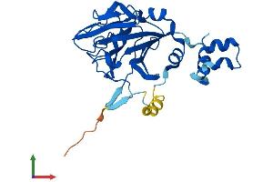 AlphaFold protein structure predicition of Human Recombinant SPSB1 Protein, UniprotID Q96BD6