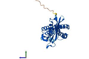 AlphaFold protein structure predicition of Mouse Recombinant Nat8b-ps Protein, UniprotID E0CYC6