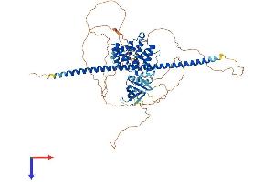 AlphaFold protein structure predicition of Human Recombinant ARHGAP22 Protein, UniprotID Q7Z5H3