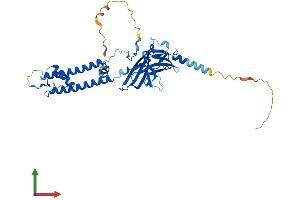 AlphaFold protein structure predicition of Human Recombinant KCNJ11 Protein, UniprotID Q14654