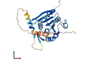 AlphaFold protein structure predicition of Human Recombinant METTL21EP Protein, UniprotID A6NDL7