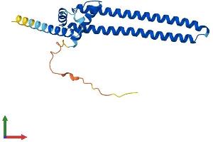 AlphaFold protein structure predicition of Human Recombinant DGCR6 Protein, UniprotID Q14129