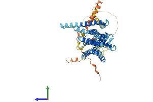 AlphaFold protein structure predicition of Mouse Recombinant Tmem39b Protein, UniprotID Q810L4
