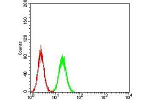 Flow cytometric analysis of Hela cells using ANXA5 mouse mAb (green) and negative control (red).