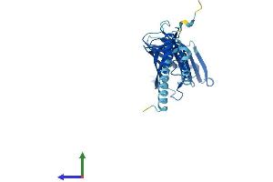 AlphaFold protein structure predicition of Mouse Recombinant Ergic1 Protein, UniprotID Q9DC16