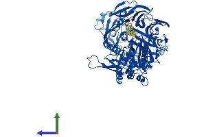 AlphaFold protein structure predicition of Human Recombinant DPP4 Protein, UniprotID P27487