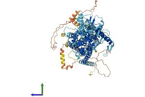 AlphaFold protein structure predicition of Human Recombinant ANO3 Protein, UniprotID Q9BYT9