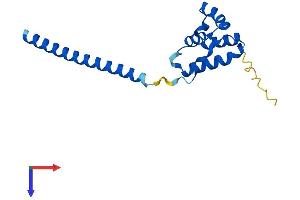 AlphaFold protein structure predicition of Human Recombinant LDOC1 Protein, UniprotID O95751