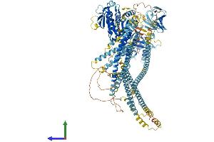 AlphaFold protein structure predicition of Mouse Recombinant Kif16b Protein, UniprotID B1AVY7