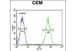 FADS2 Antibody (Center) (ABIN651561 and ABIN2840302) flow cytometric analysis of CEM cells (right histogram) compared to a negative control (left histogram). (FADS2 anticorps  (AA 96-122))