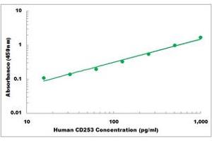 Representative Standard Curve