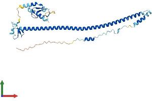 AlphaFold protein structure predicition of Human Recombinant TRIM63 Protein, UniprotID Q969Q1
