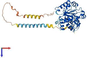 AlphaFold protein structure predicition of Mouse Recombinant St6galnac4 Protein, UniprotID Q9R2B6